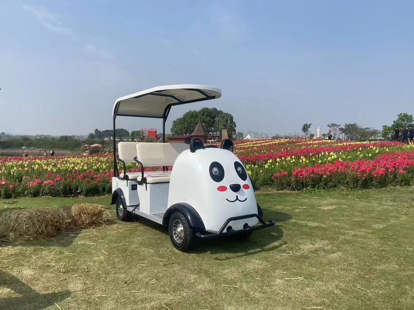 电动景区共享扫码车